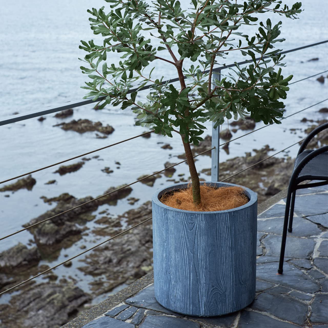 Amazon | 植木鉢 中型大型 アルファ シリンダープランター グレー