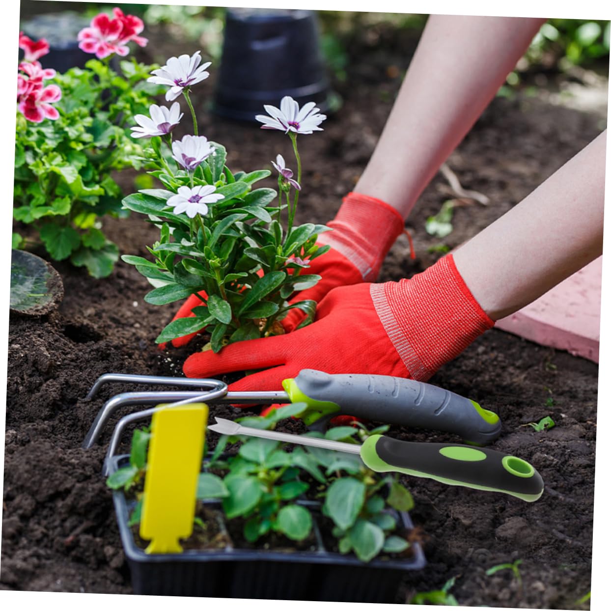 NUOBESTY 3 Pezzi di Strumenti per Diserbo Strumento per La Rimozione del Prato Sarchiatore Attrezzo per Diserbo Attrezzo per Giardinaggio Estrattore Sradicatore Rimozione Manuale
