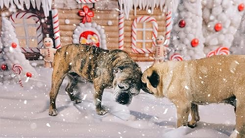 Miniatura 3 de Kate Fondos de fotografía de casa de jengibre de Navidad de 7 x 5 pies, fondo blanco para fotografía de árbol de Navidad de invierno, decoración de