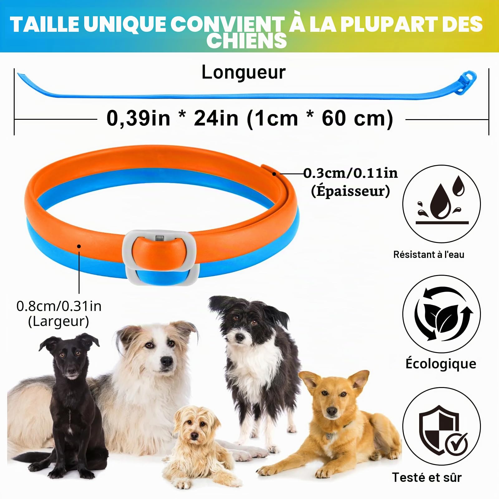 Collier Anti Puces pour Chien, 4 Pièces Anti Tiques pour Chien, Réglable et Imperméable, Sûr et Naturel, Longueur 60cm, Protection 24 Mois, pour Chiens de Petite Moyenne et Grande Taille (Bleu&Orange)