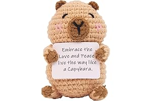 Miniature Delightful Charming Capybara Gift Set: The Perfect Cheerful Keepsake and Gift Card Solution