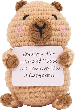 Capybara Gifts, Positive Crochet Animals Capybara, Knitted Wool Capybara Toy with Positive Card, Cheer Up for Friends, Women, Girls and Boys as Birthday Christmas