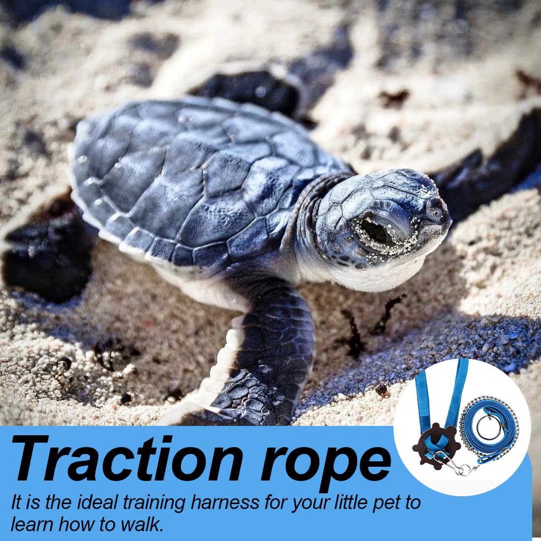 Harnais et Laisse avec Cloche pour Petits Animaux et Cochons d'Inde - Bleu, Taille L