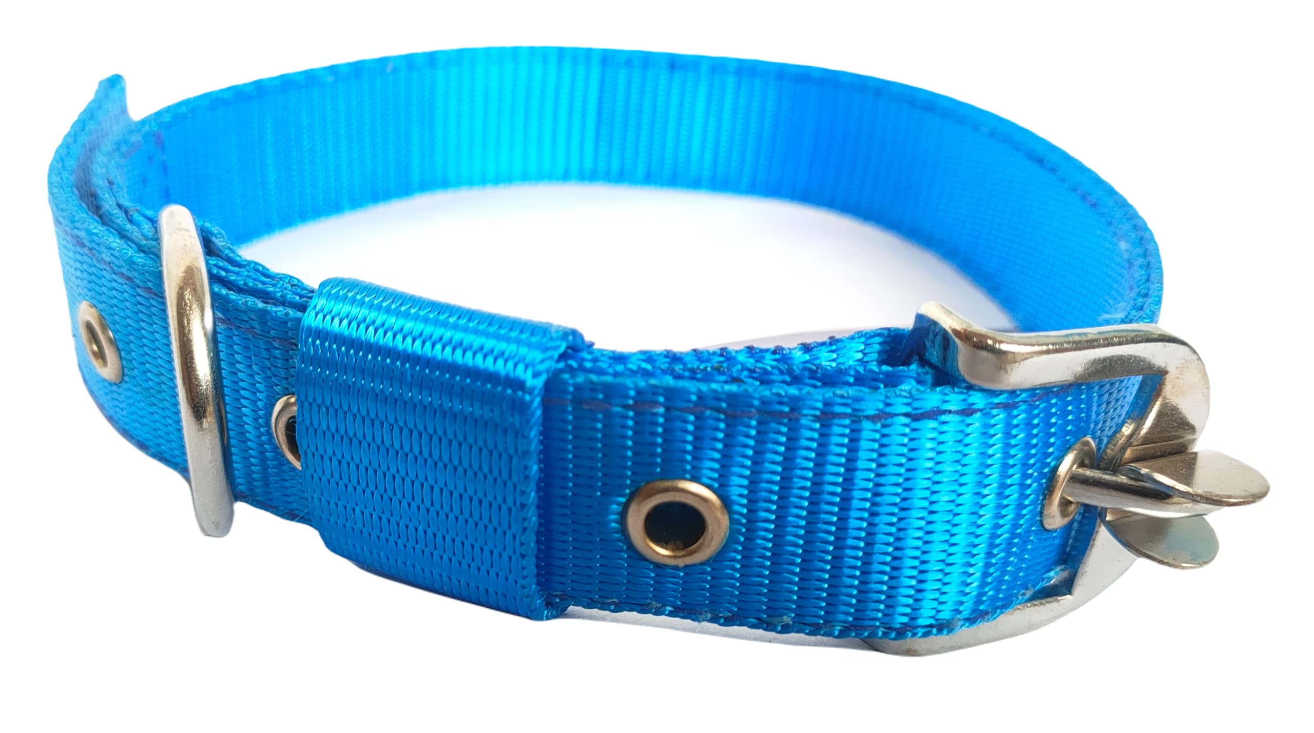 RvPaws Dog Soft Nylon Collar Adjustable 4 Stapes Every Day Use Pet Collar Strong Chrome Bukkle (Blue, Small - .75 INCH) (B09CH8DHPF) Amazon Price History, Amazon Price Tracker