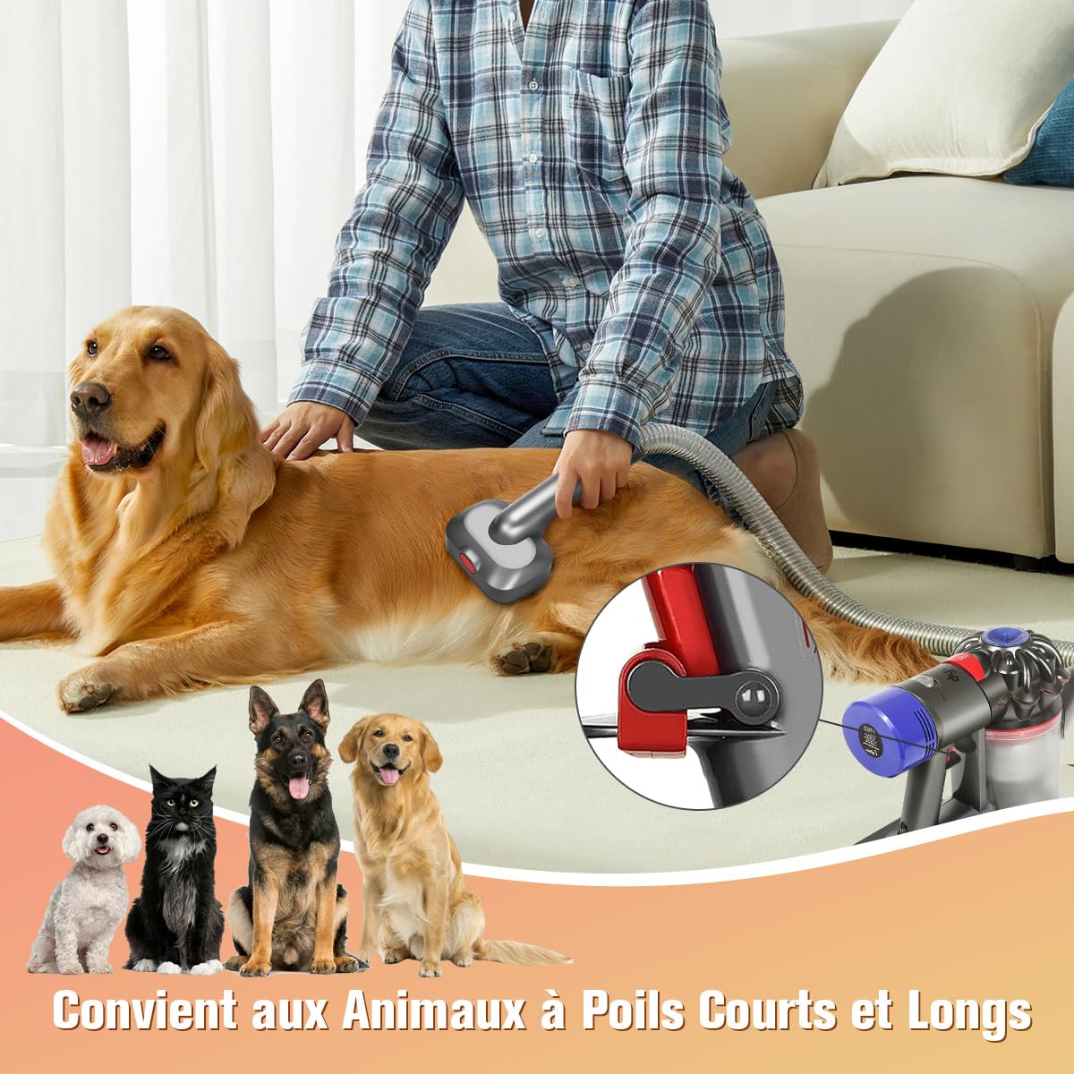 Brosse Aspirateur pour Chiens 2 en 1 Compatible avec Dyson Gen5 V15 V12 V11 V8 V7, idéale pour éliminer les poils lâches, les squames, le sous-poil et les nœuds