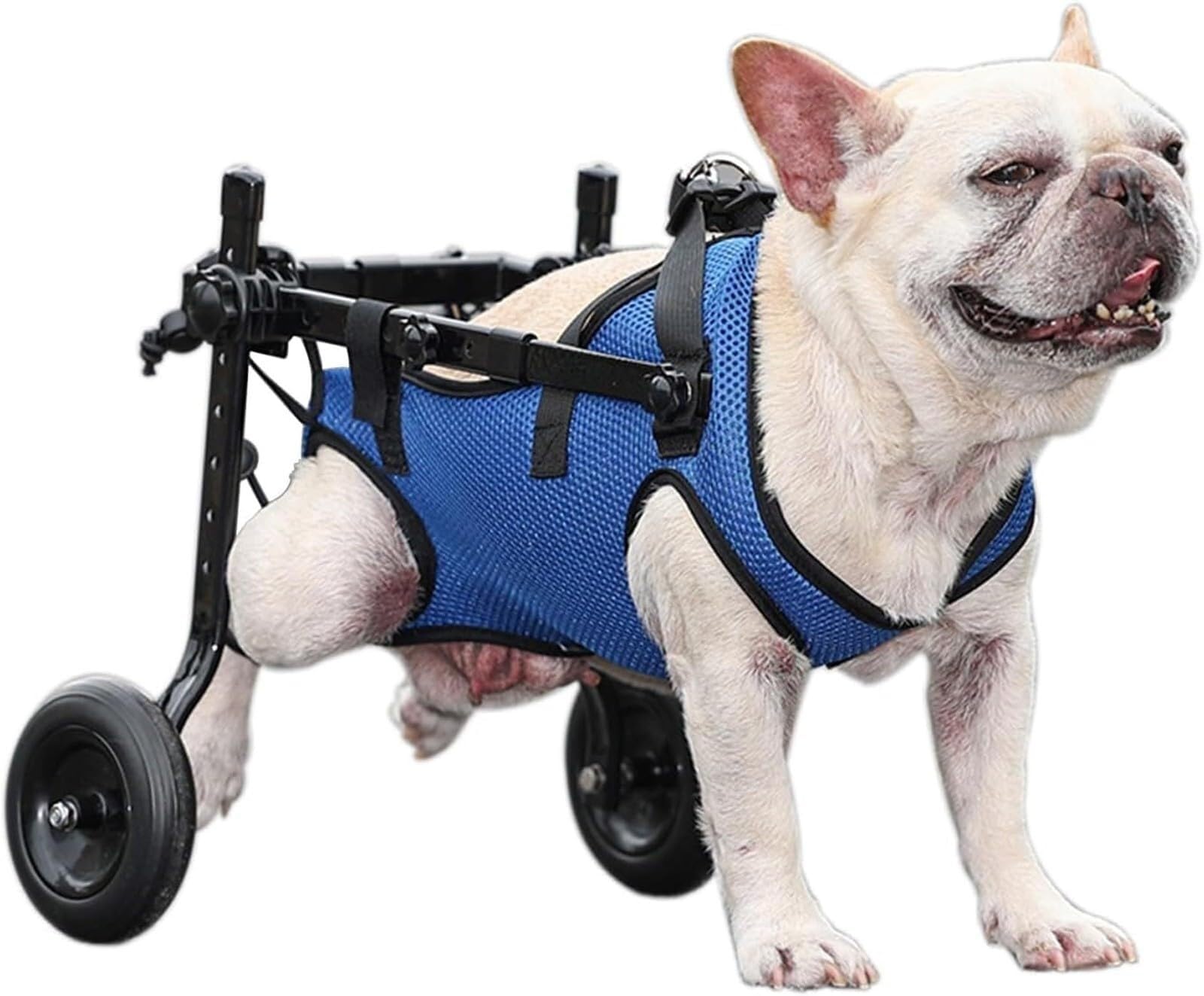 Silla de ruedas ajustable para perros con 4 ruedas, ayuda de movilidad para parálisis trasera, displasia de cadera y artritis, adecuada para perros pequeños, medianos y grandes (S)