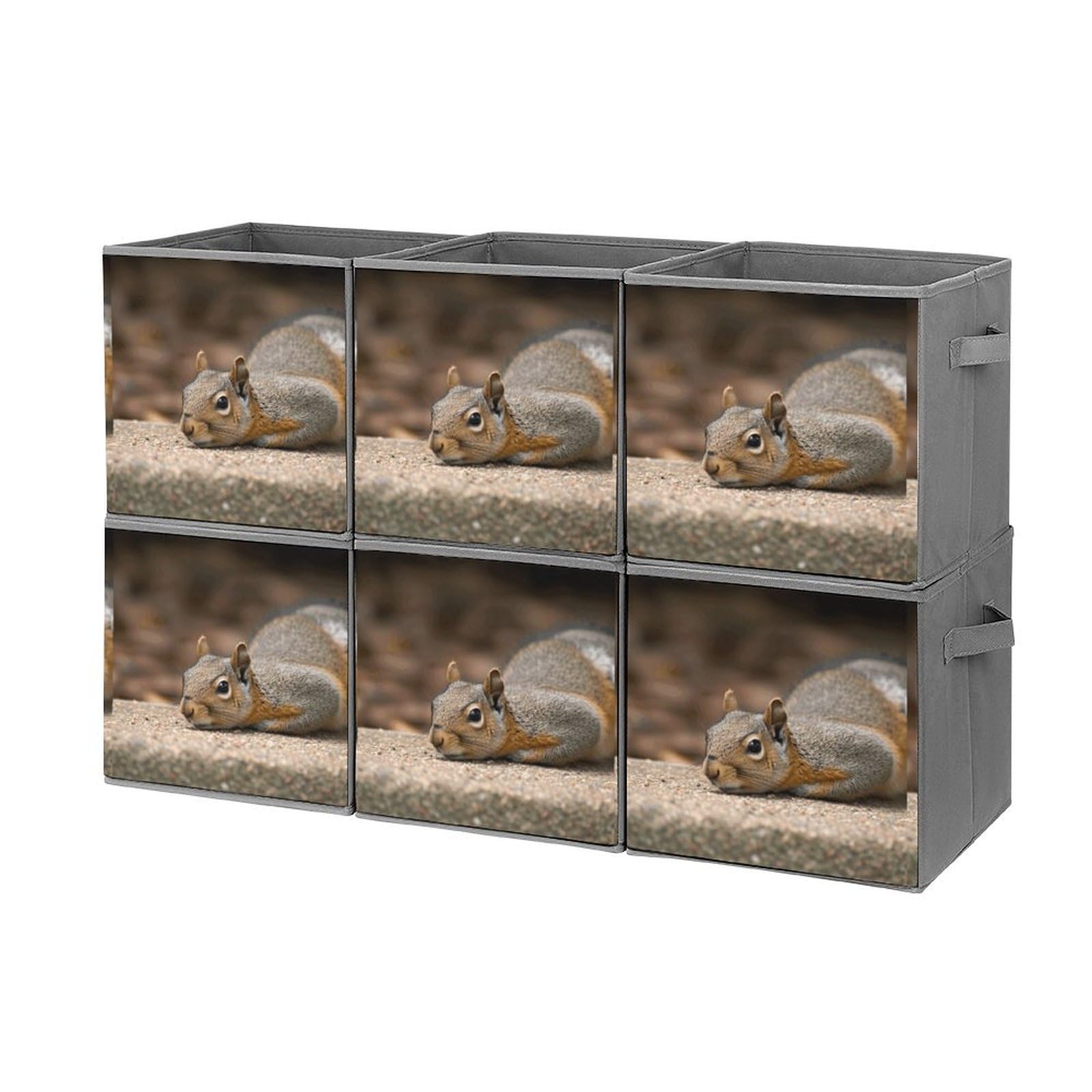 Boîtes de rangement empilables pour organiser les jouets écureuil
