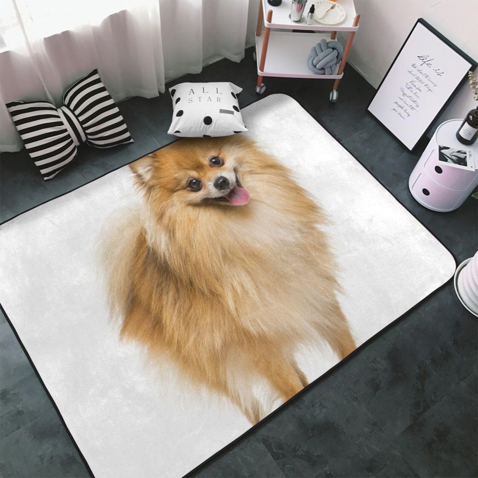 レア 実写版 ダルメシアン子犬 ラグ カーペット Amazon | ポメラニアン 犬柄 カーペット 長方形 ラグマット ラグ 絨毯