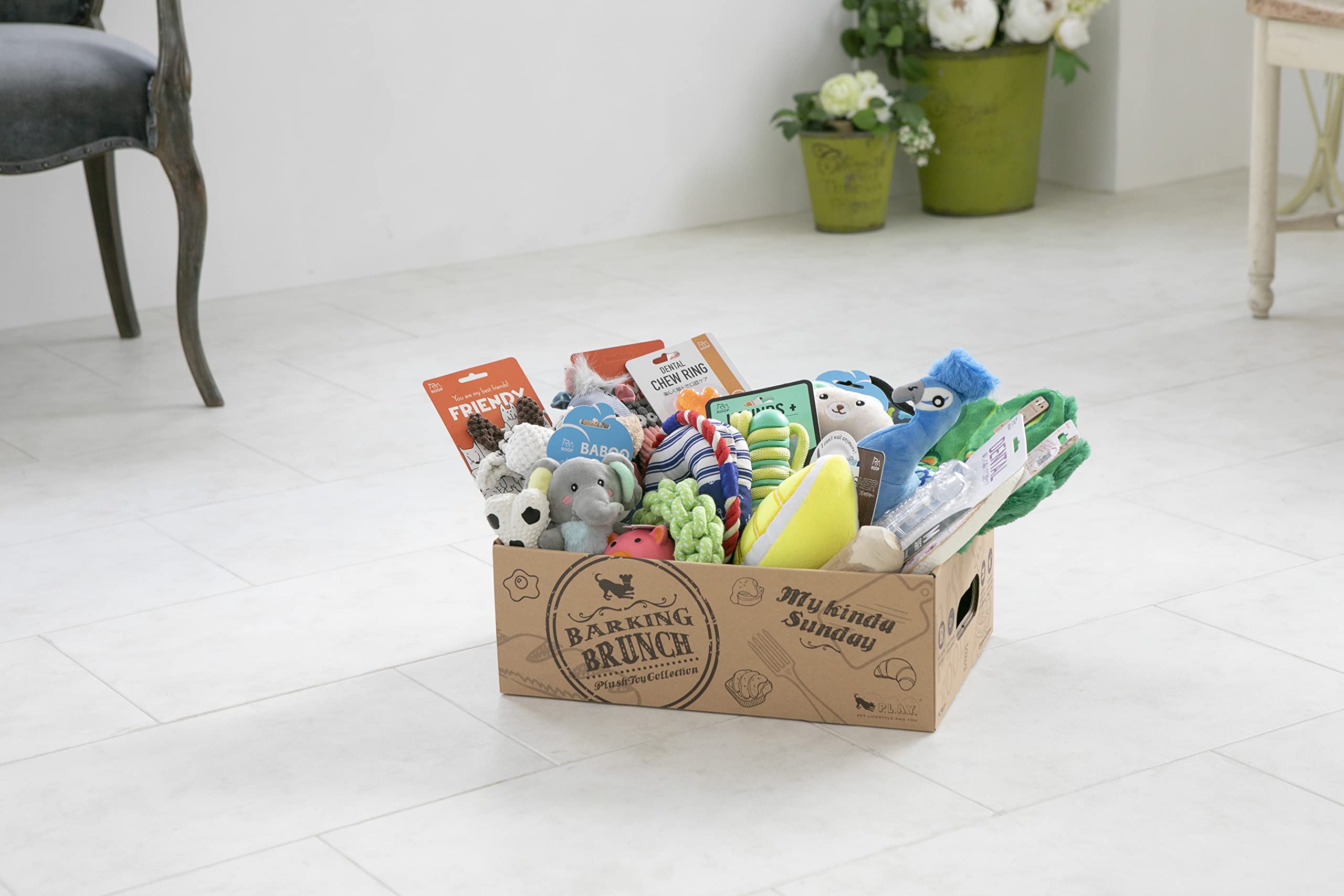 Amazon | ルークラン 犬用おもちゃ わくわくセット（おもちゃ