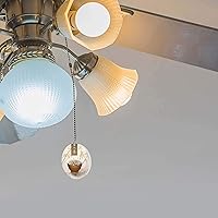 Vista 2 de Ventilador de bambú de fideos asiáticos/luz