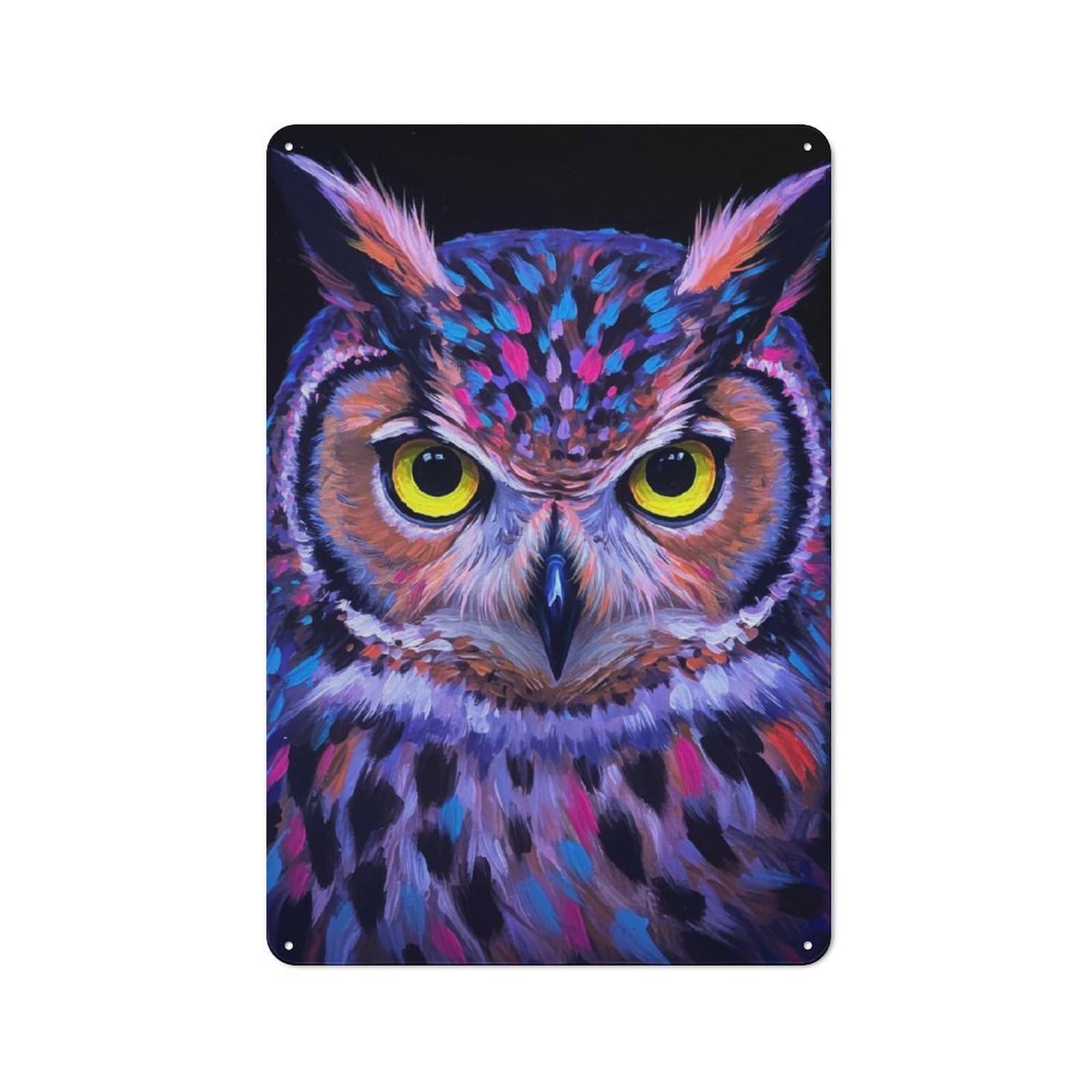 Junmoney Colorful Owl Portrait Vintage Decorative Metal Plaque 30X20cm, Garden Room Wall Plaque For Shed, Garden Room, Porch Or Garage