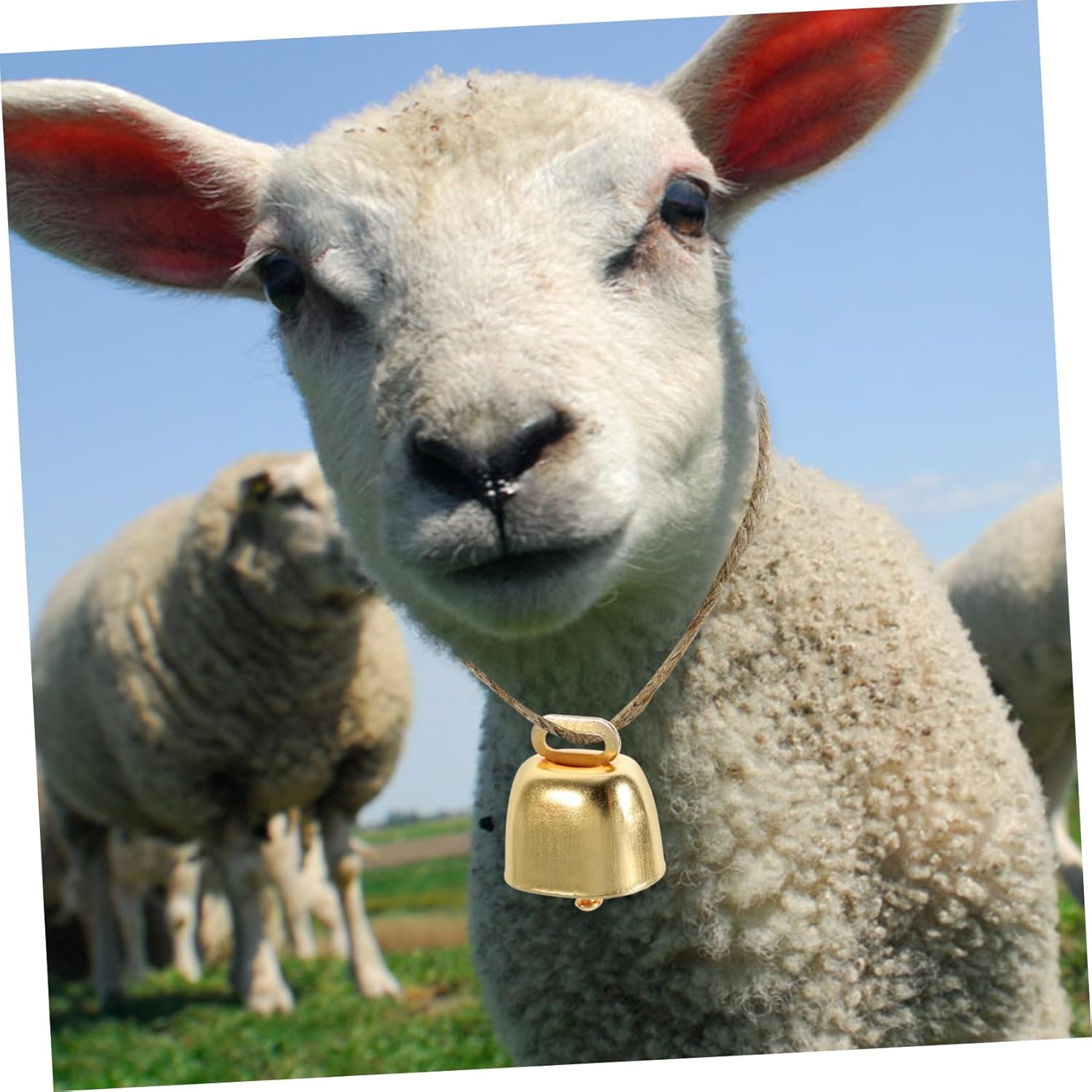 TEHAUX 15pcs Vintage Cattle Bells Loud Metal Bells for Sheep Goat Pet Hanging for Christmas Decor Crafts Crisp Sound