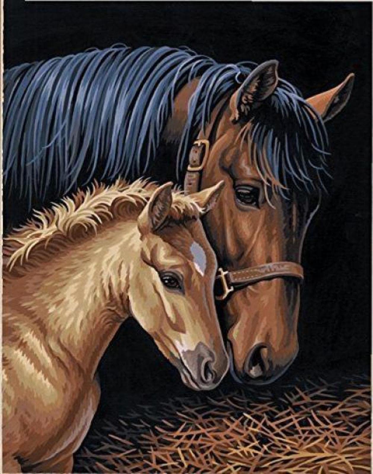 Peinture diamant 5D cheval strass complet broderie mosaïque ronde