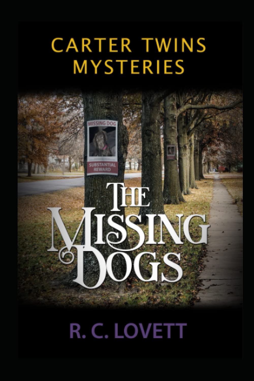 Carter Twin Mysteries: The Missing Dogs