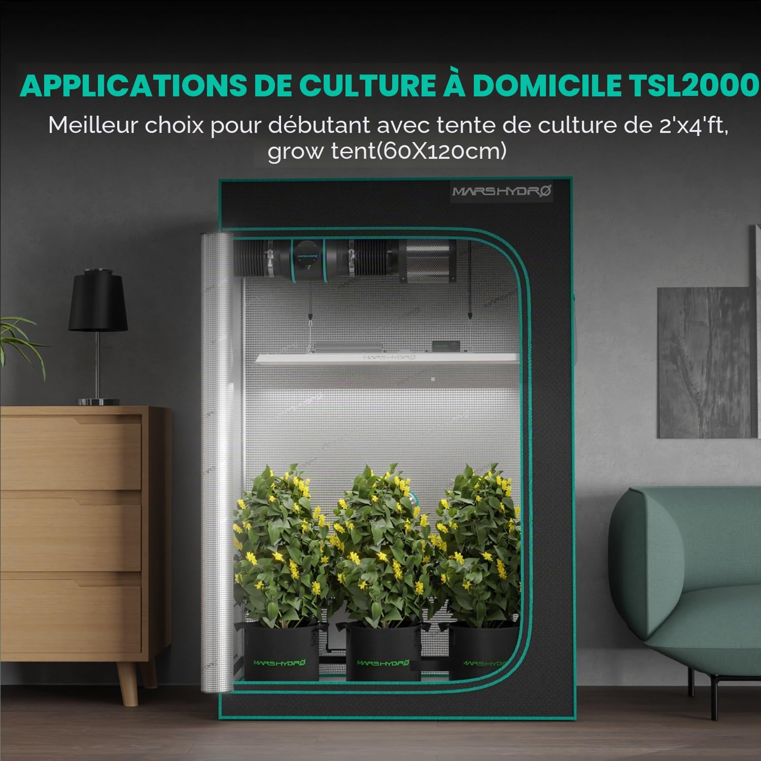 MARSHYDRO TSL Lampe de culture à 2000 LED 90 x 150 cm Spectre complet pour plantes d'intérieur, plantes végétales en floraison avec LED blanche mise à jour Lampes de croissance hydroponique pour