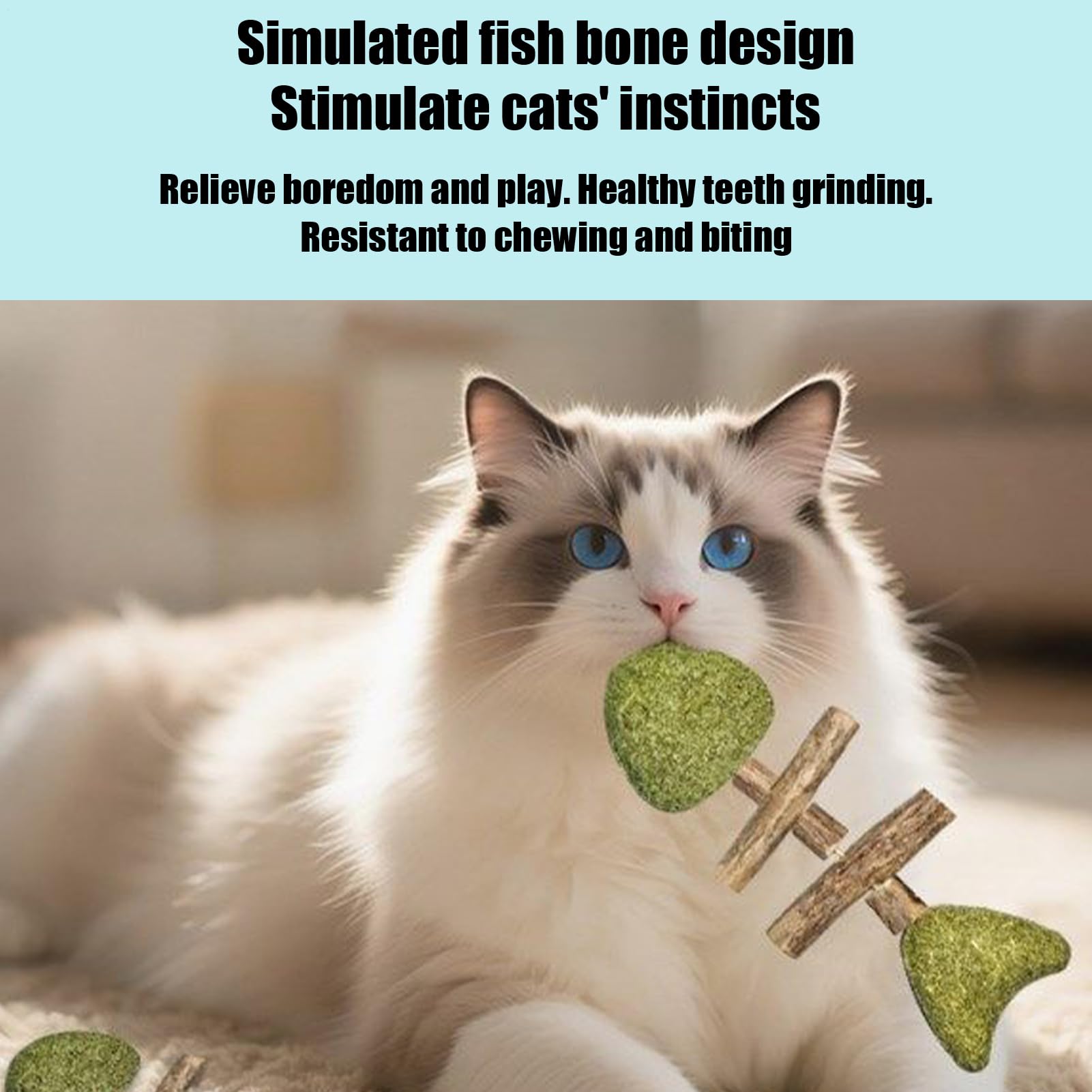 Katzen Beiß Spielzeuge 3-Teiliges Fischgräten Design Interaktiver Beißring | Katzen Kauspielzeug Für Zähne Geschenk Für Haustiere Spielzeug Gegen Langeweile