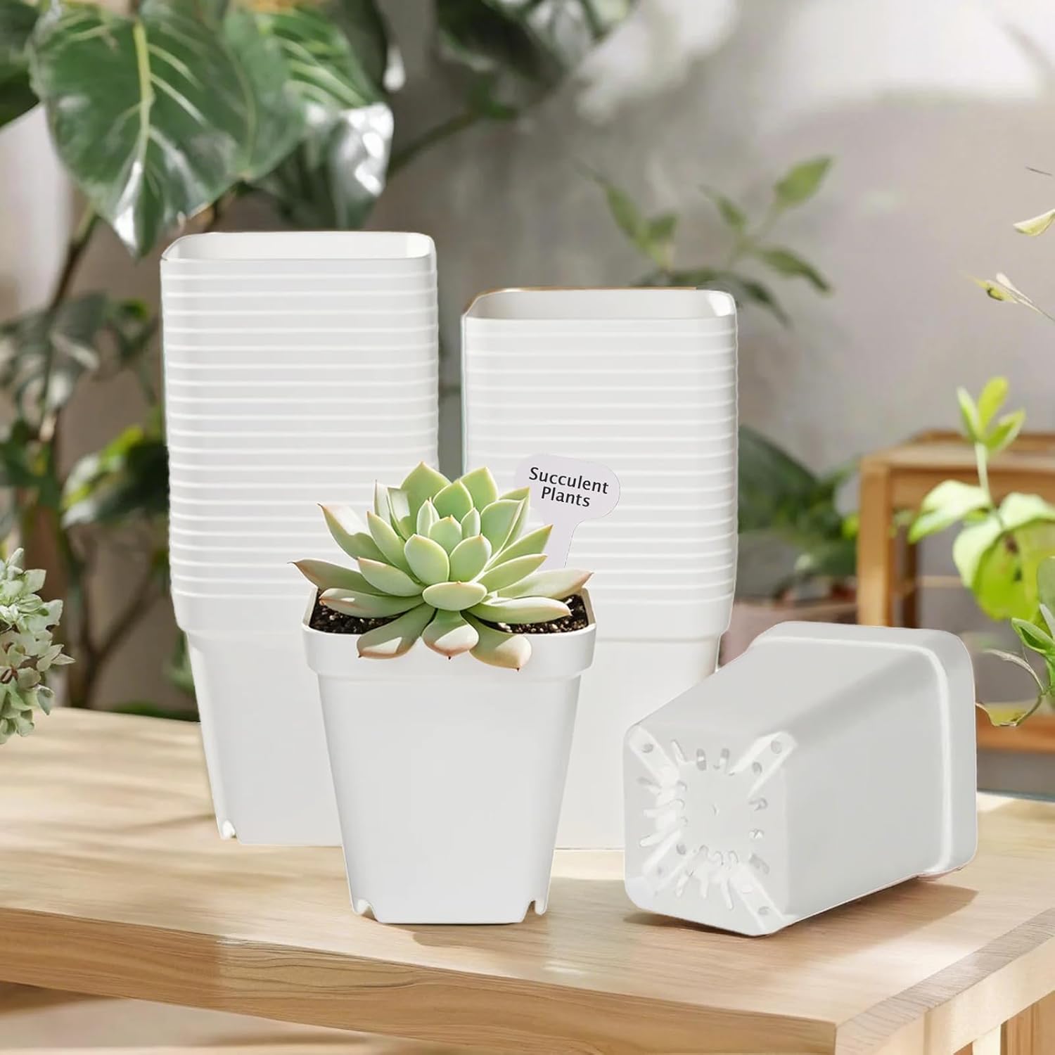 Nursery Pots for Plants, 4 inch Plant Pots, 60 Pack, White