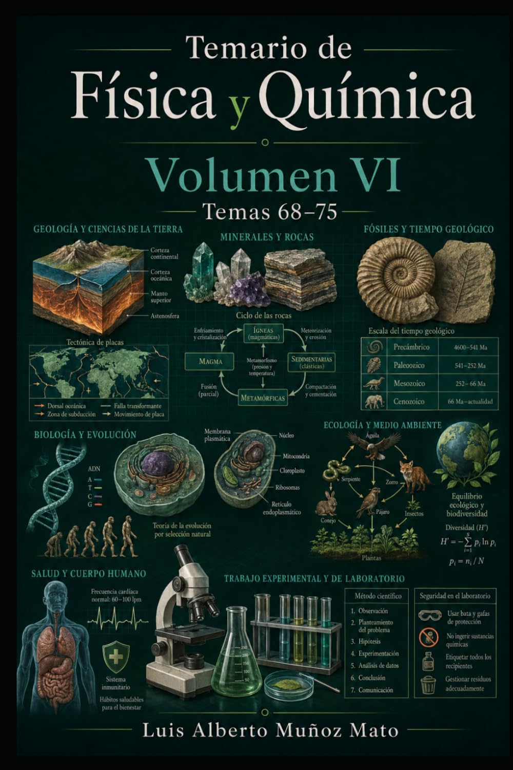 Temario de Física y Química. Volumen VI: Temas 68-75 (Temario Física y Química. Profesores de Enseñanza Secundaria)