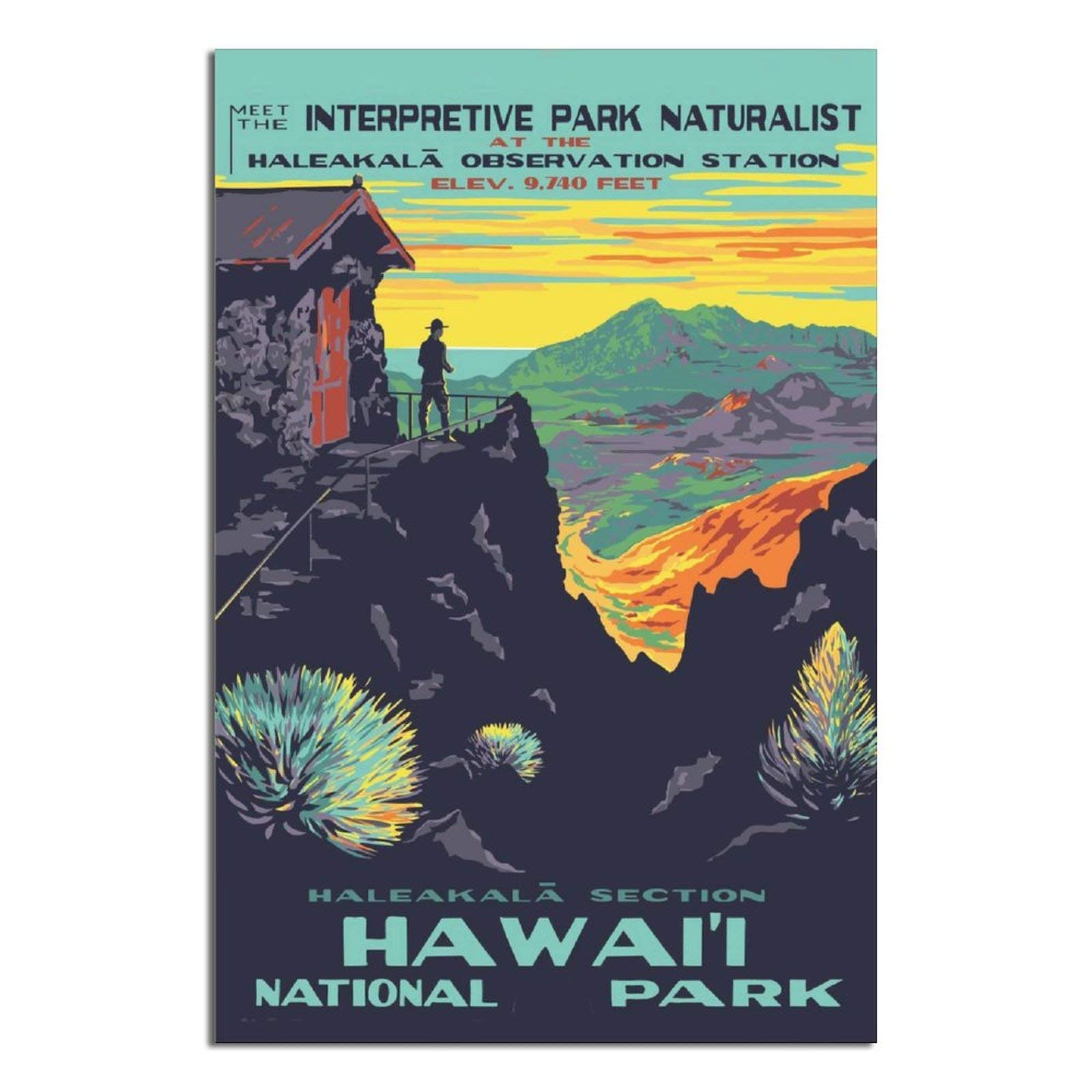 WSNBB Vintage Poster Haleakala National Park Poster Canvas Art Poster Picture Modern Office Family Bedroom Decorative Posters Gift Wall Decor Painting Posters 16×24inchs(40×60cm)