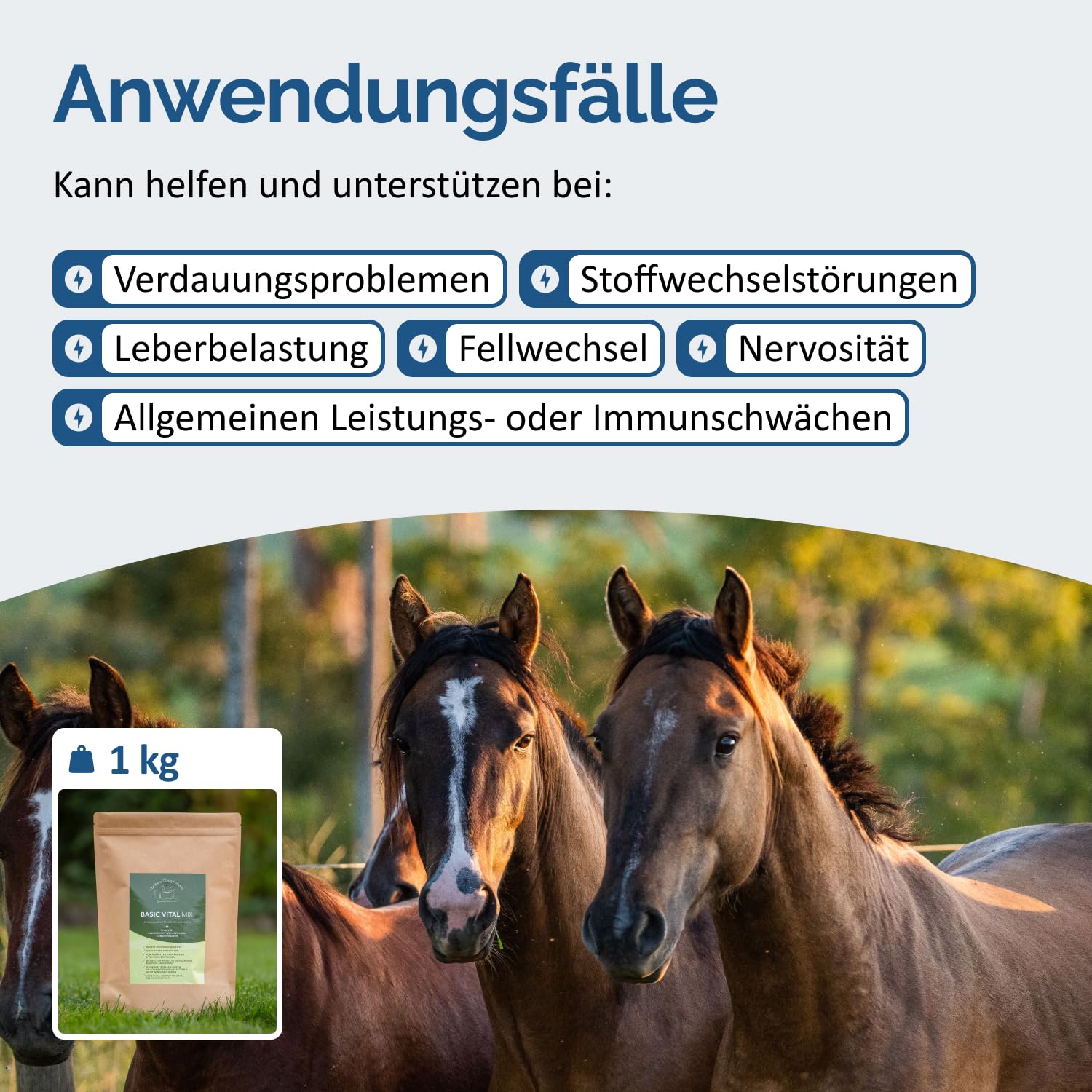 The Horse Vitality Company Basic Vital Mix 1kg Pulver | Ergänzungsfuttermittel für Pferde mit Kräutern & Magnesium | Für Vitalität, Konzentration & Verdauung | 100% natürlich | Made in Germany