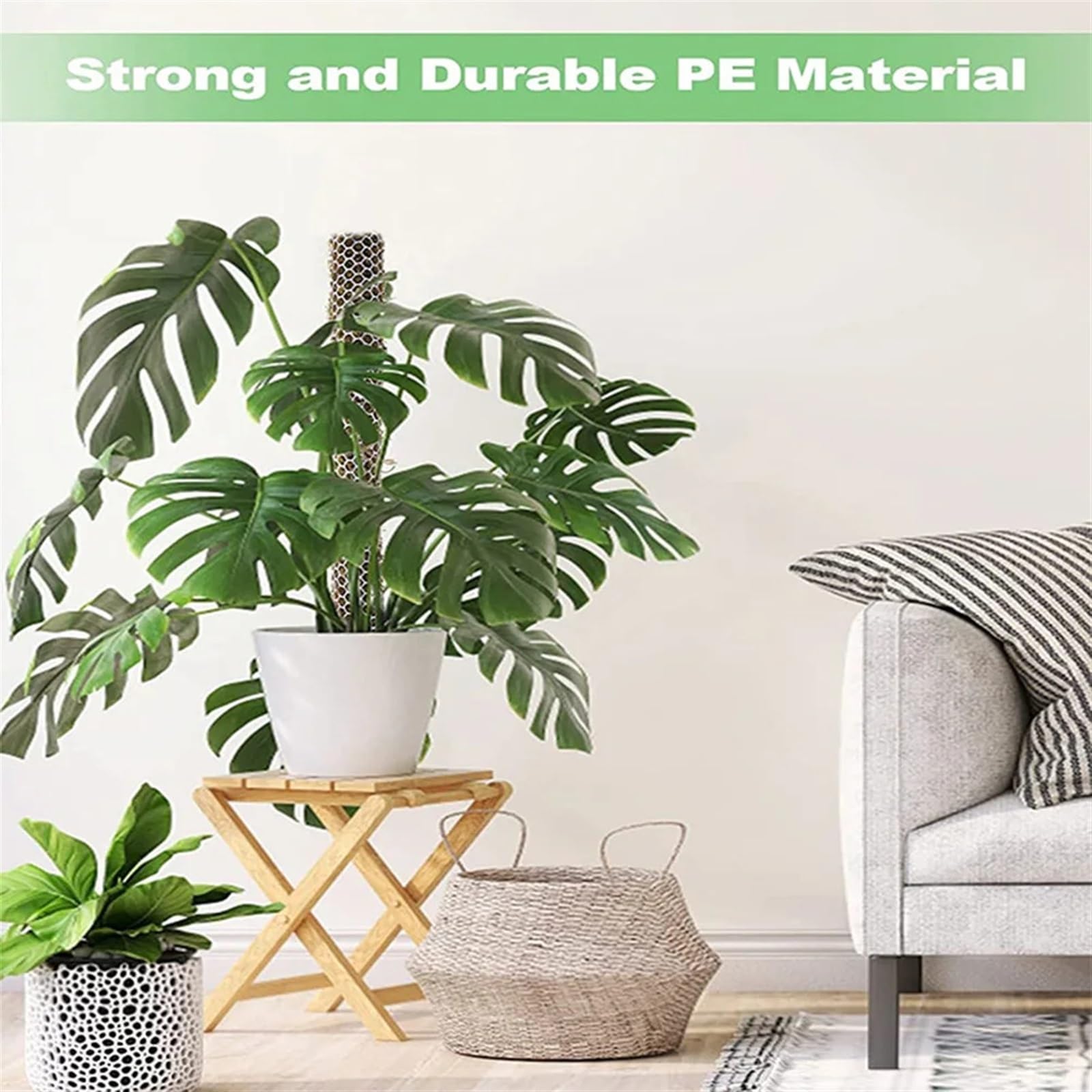 Kit De Bâtons De Mousse, Poteau De Mousse en Maille, Piquets De Mousse, Plantes Grimpantes, Supports Monstera, Bricolage