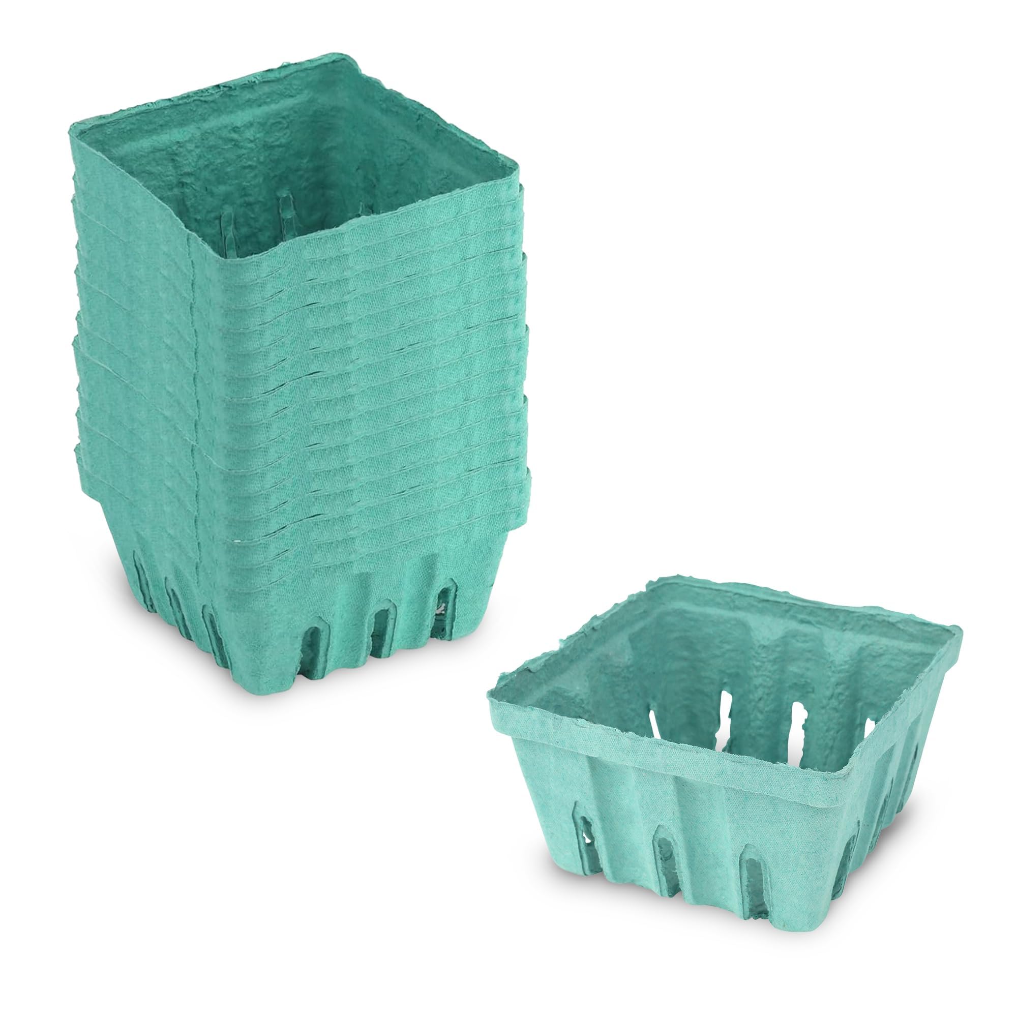 MT Products Green Berry Basket 1 Pint - Molded Pulp Fiber Vented Produce Basket (Pack of 15) - Made in the USA