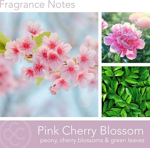 Vista 47 de Colonial Candle Vela perfumada en frasco, cilindros clásicos, brillo navideño, 2 mechas, 19 onzas, morado