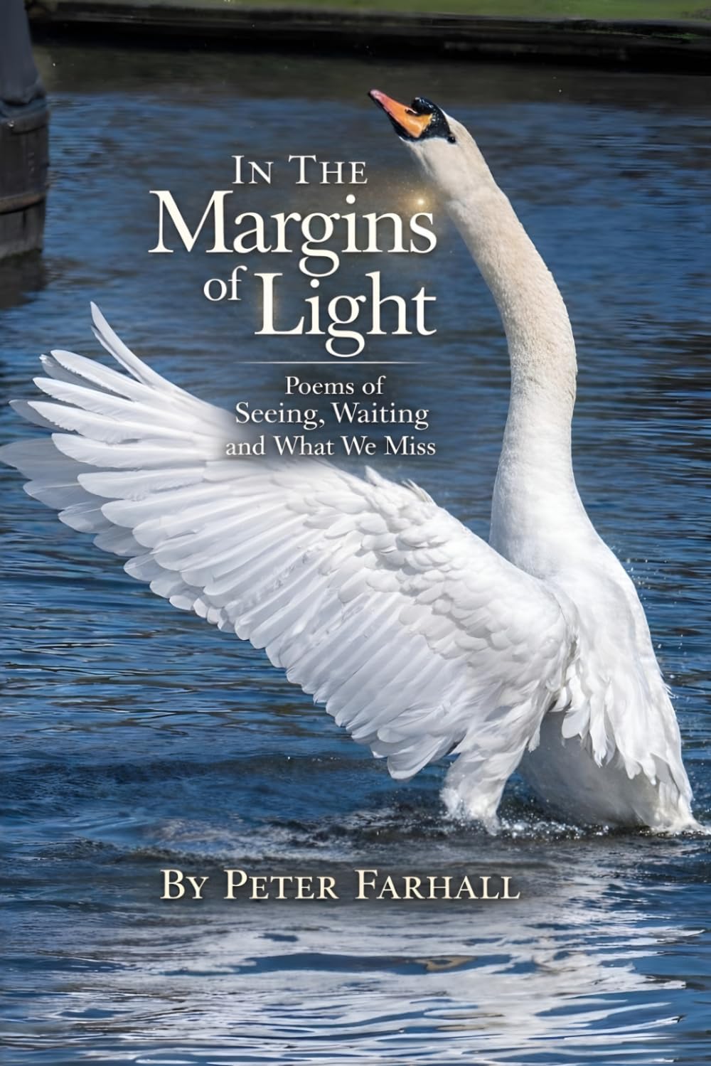 In the Margins of Ligh: Poems of Seeing, Waiting, and What We Miss