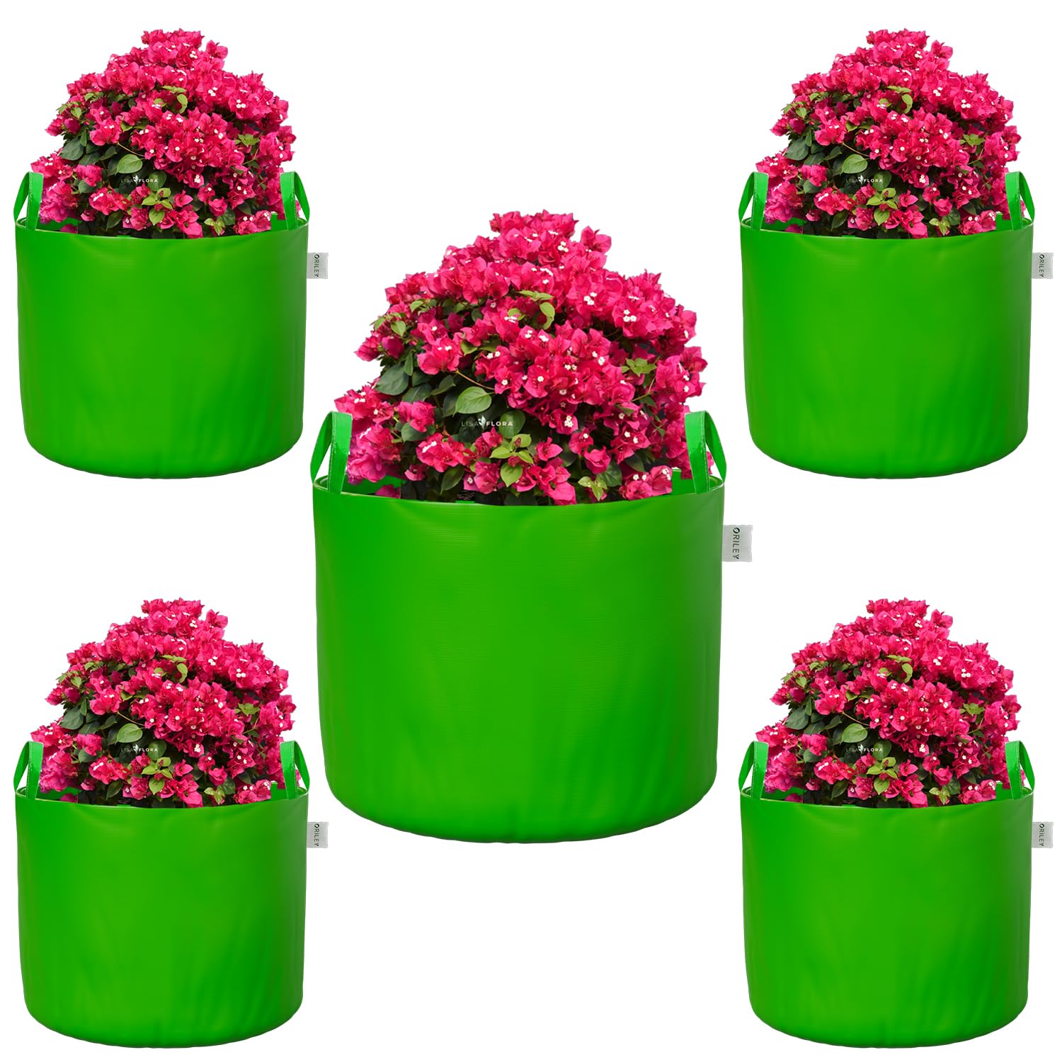 Oriley Grow Bags - Durable Plant Containers -29 Oriley Grow Bags - Durable Plant Containers -29