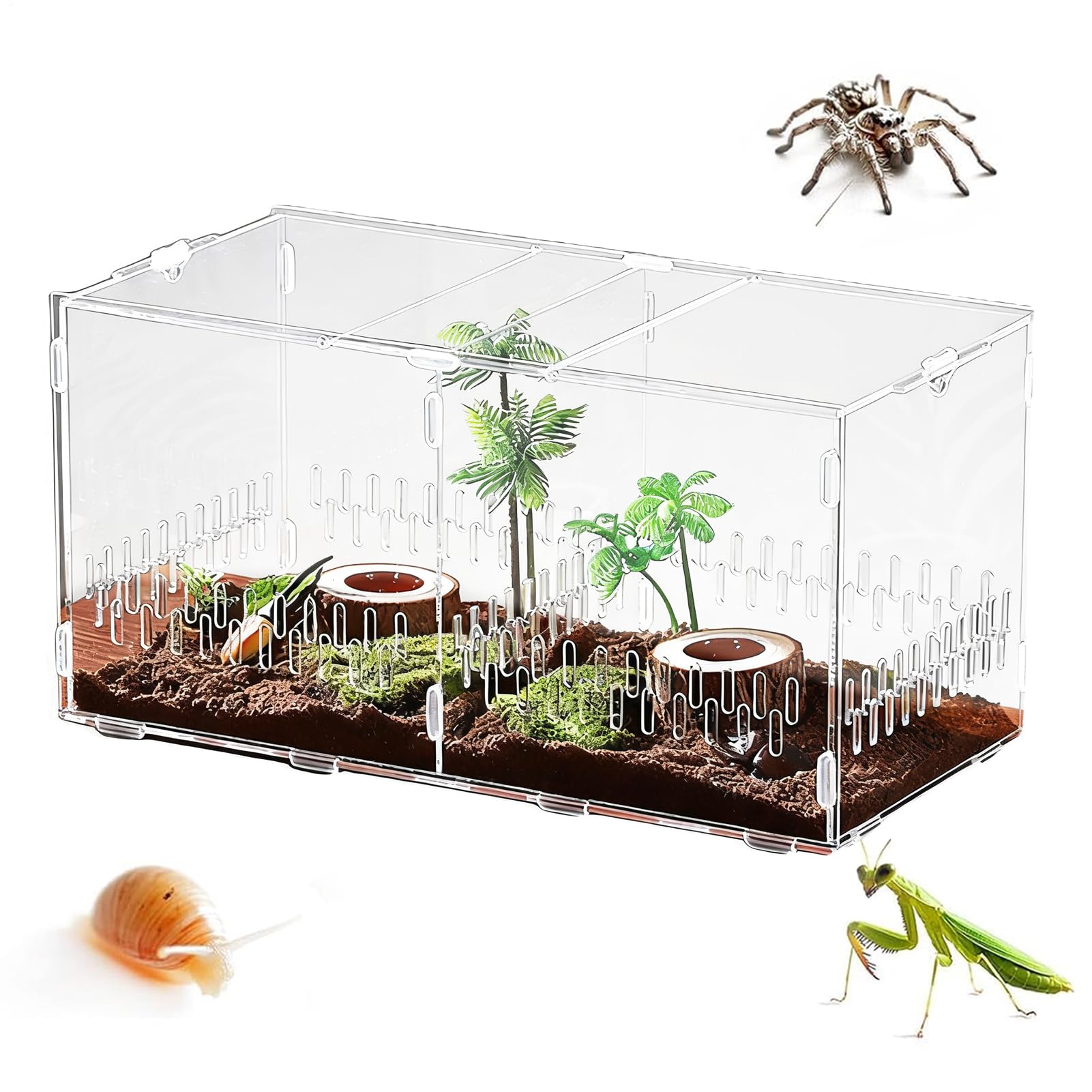 Terrarium Dla Skaczących Pająków Przezroczyste Akrylowe Terrarium