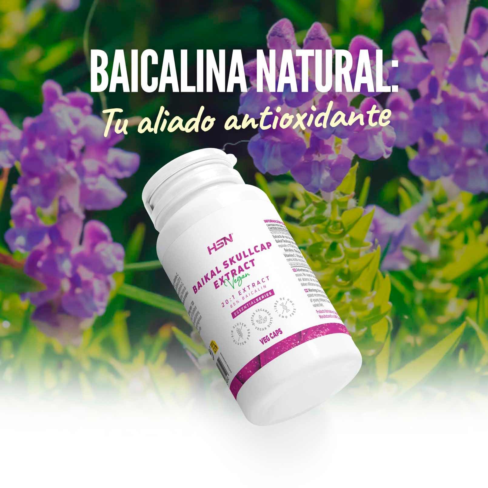 HSN Baicalin (Scutellaria baicalensis) 500 mg pro Tagesdosis | 120 Pflanzliche Kapseln | 20:1 Extrakt aus der Wurzel der Baikal-Helmkraut (Scutellaria baicalensis, 85% Baicalin) | Ohne Gentechnik, Ve