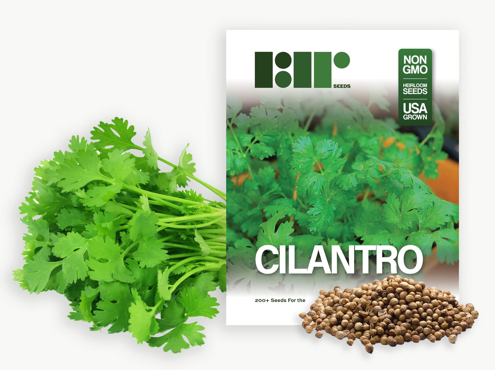 Coriander Seeds For Planting