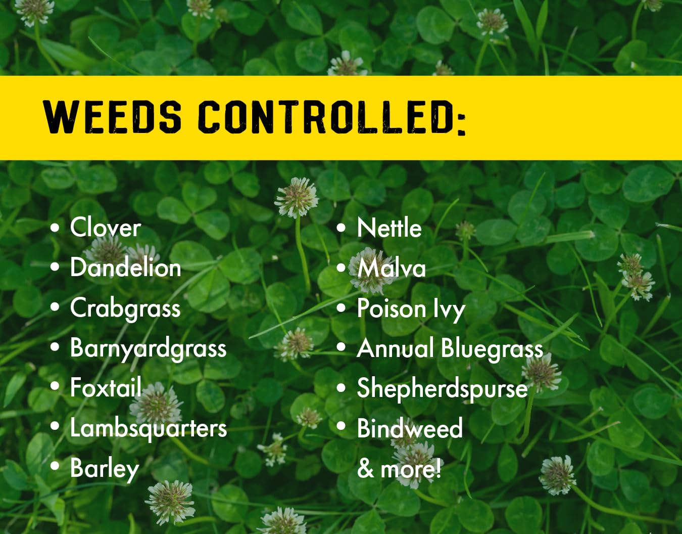 Liquid Harvest 24.5% Glufosinate Herbicide – 32 oz Concentrate (Makes 16 Gallons) – Non-Selective Weed Killer for Grass, Broadleaf Weeds & Woody Plants – Glyphosate-Free Weed Control