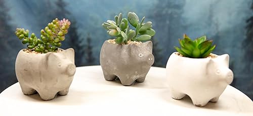 Miniatura 4 de Ebros Gift Juego de 3 suculentas botánicas artificiales realistas bonsái en pequeños cerdos en maceta de 5 pulgadas de alto, plantas de imitación