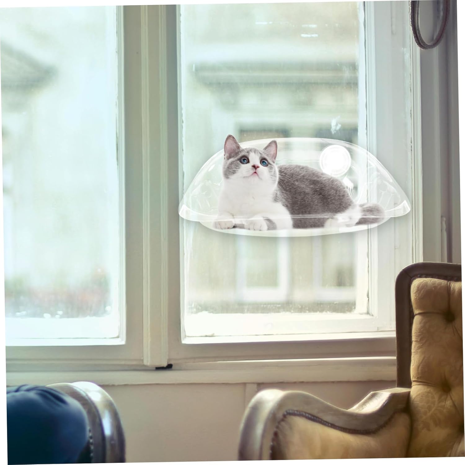 Strong Adhesion Window Perch for Cats Cat Window Hammock Breathable Fabric