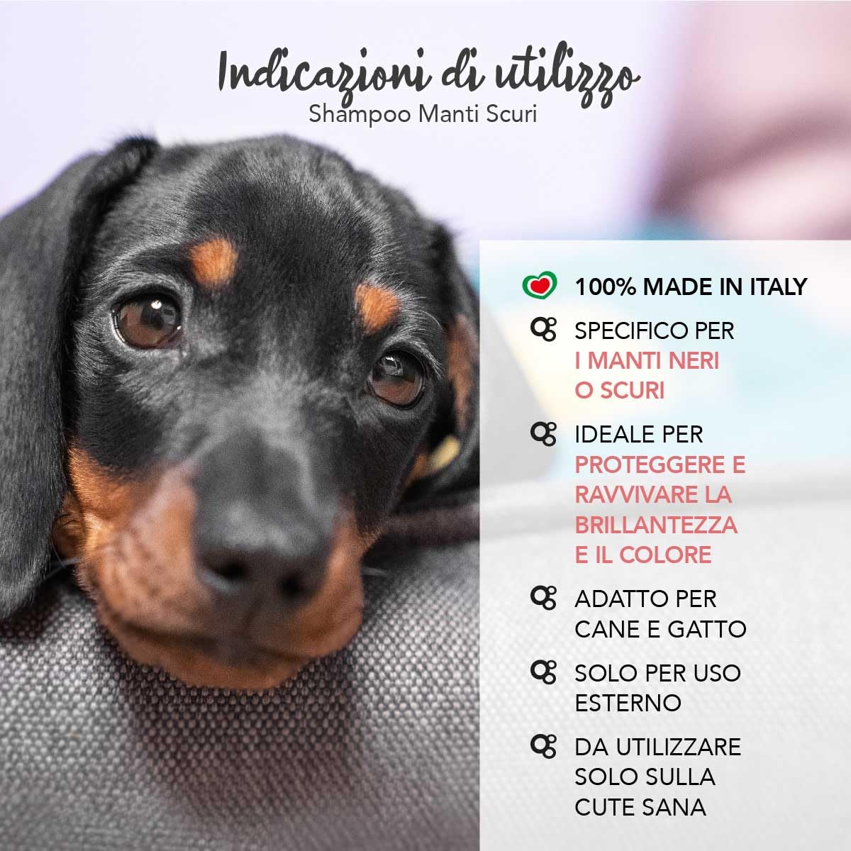 YUUP! - Shampoo per Cani e Gatti Manti Scuri, 250 ml, protegge e ravviva la brillantezza dei manti neri e scuri, aumenta lucentezza e pettinabilità