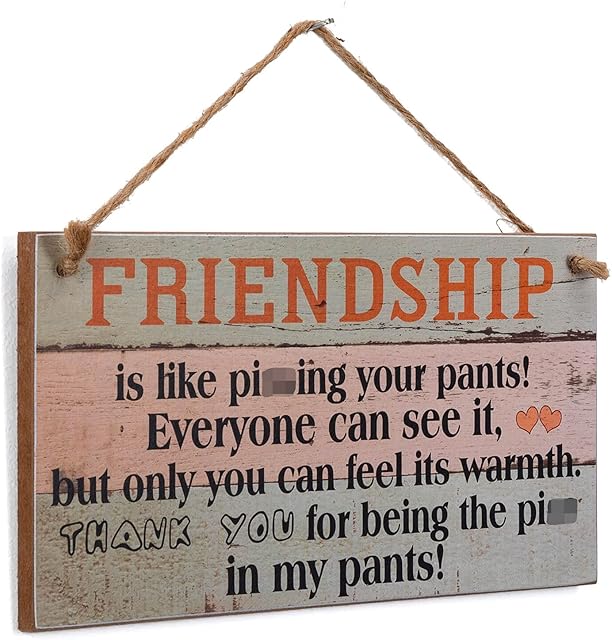 Yankario Funny Friendship Gifts for Women Friends - Birthday Gifts for Best Friends Unique Gifts for Her - Wall Art Decor Wooden Sign, 12" by 6"