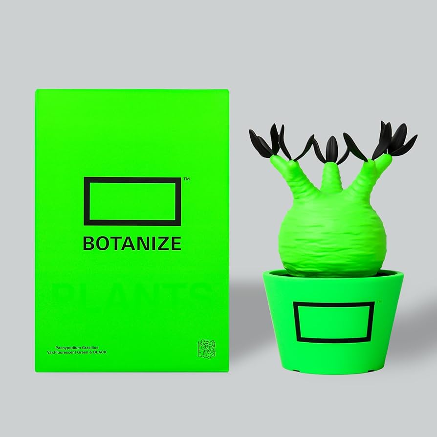 Amazon | BOTANIZE × MEDICOM TOY パキポディウム グラキリス