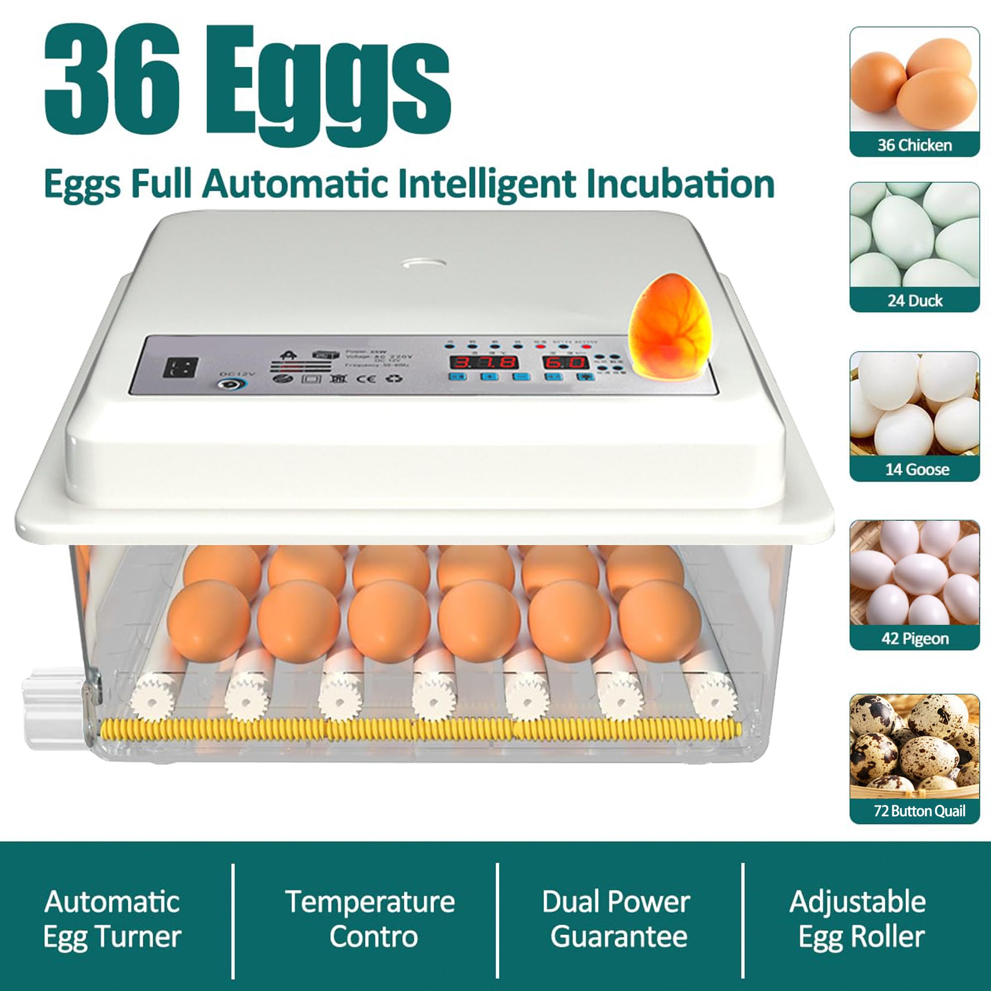 Incubateur d'Oeufs Automatique 24-36 Oeufs, Couveuse avec Contrôle de Température, Rouleaux Réglables, Ajout d'eau Automatique et Mire-Oeuf Intégré, Blanc
