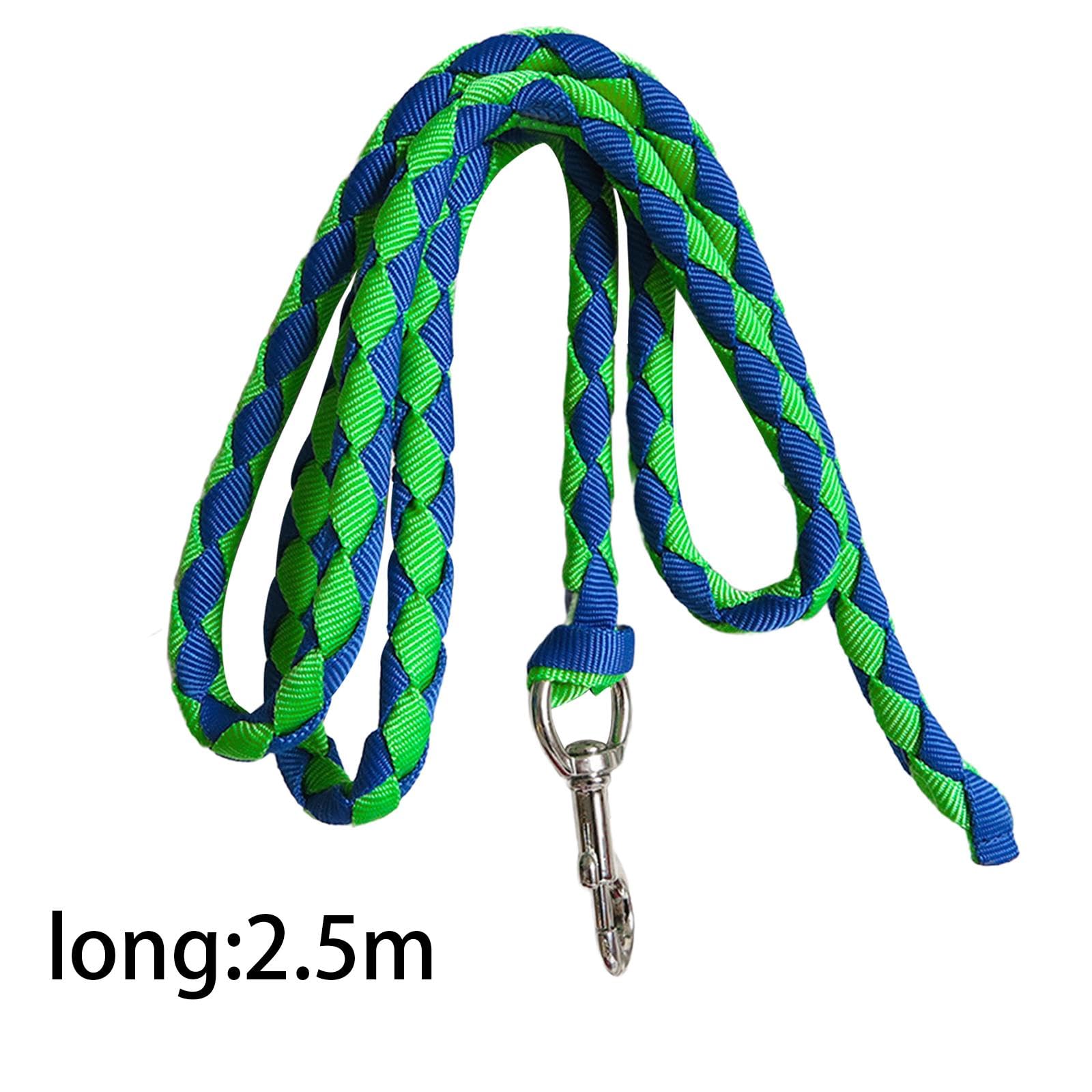 Corda per Cavallo con Attacco a Clip Sicuro, 2.5 m Verde e Blu