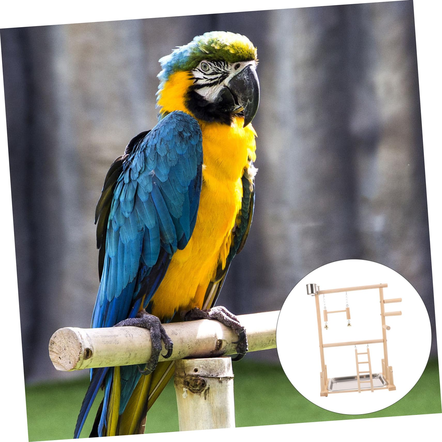 COLLBATH Support À Oiseaux En Bois Pour Perroquets Aire De Jeux Perchoir Jouets Pour Oiseaux Pour Calopsittes Perruches Support D'accessoires Créatif Sûr