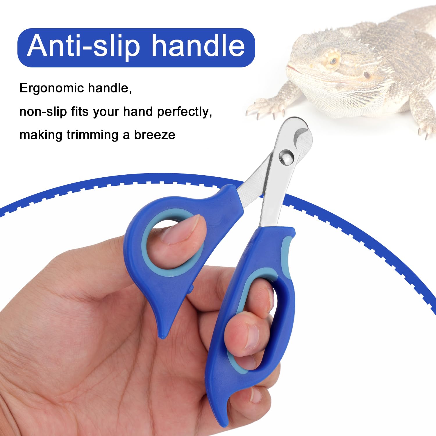 BOXOB Coupe-Ongles pour Dragon Barbu, Coupe-Ongles Orteils en Acier Inoxydable Outil de Toilettage Professionnel Reptiles avec Bords Inclinés Précis pour Petits Reptiles