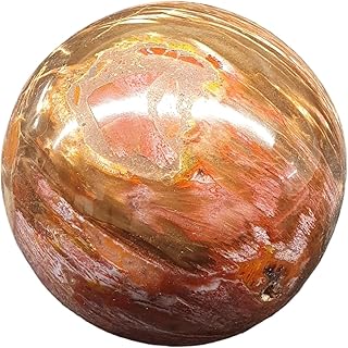 Petrified Wood Sphere Ball Geofossiles Minerals Stone Healing Crystals BAPW5