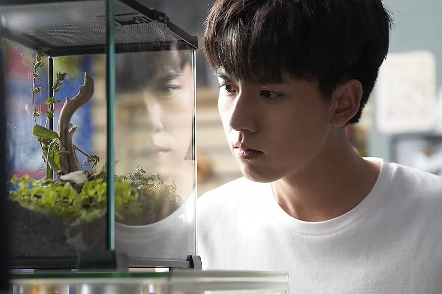 破繭（はけん）～Ｉｎｓｅｃｔ　Ｄｅｔｅｃｔｉｖｅ～　ＤＶＤ－ＢＯＸ Amazon.co.jp: 破繭(はけん)~Insect Detective~ DVD-BOX