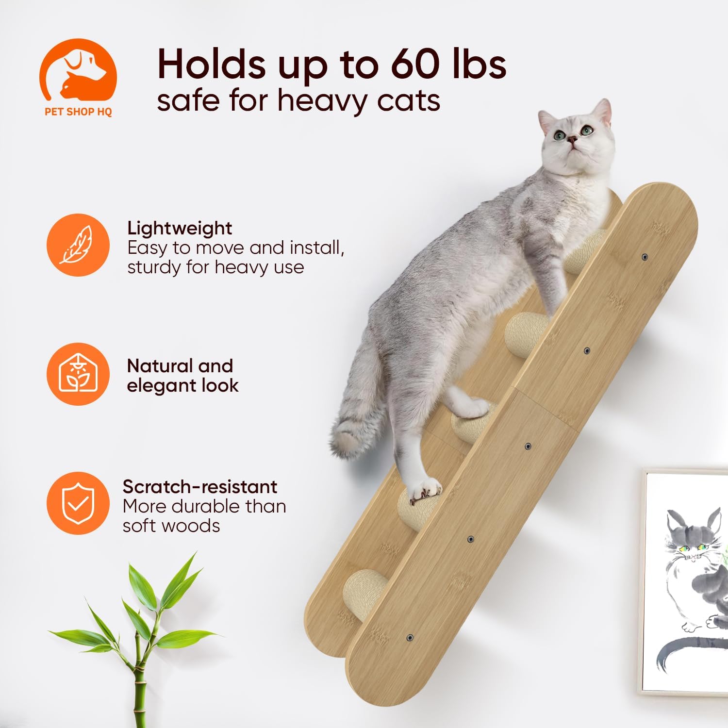 Cat Wall Shelves Furniture for Climbing - Cat House Wall Mounted - Indoor Wooden Floating Furniture - Different Models Including Shelves, Perches, Hammock, Bed, Bridges, Walkways