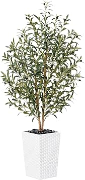 VeriNatural Artificial Olive Tree 5FT - Tall Faux Olive Trees with Natural Wood Trunk, Silk Leaves, White Taper Planter & Pebbles, UV Resistant Fake Plants Indoor for Home Decor, Office,Outdoor,VN131