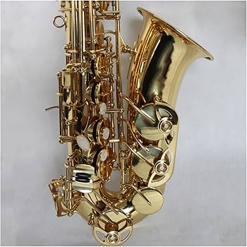 Amazon | プロフェッショナル サックス 高級真鍮ゴールド