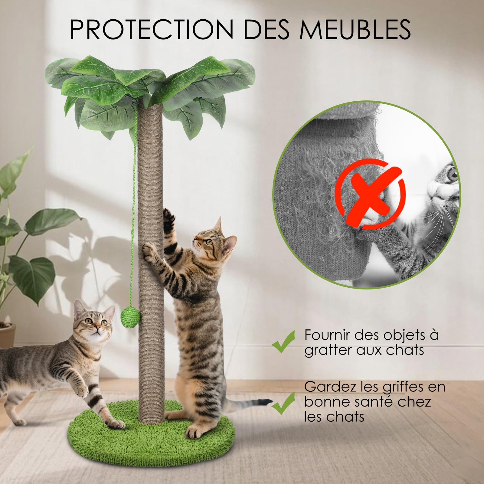 Zvonema Griffoir pour Chat, Arbre à Chat 85 CM, Griffoir Chats avec Corde de Sisal Natual d'Intérieur Palmier avec Balles en 1 Bâton à Plumes, Suspendues Interactives pour Petits & Grands Chats