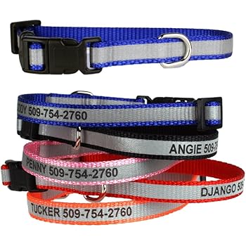 raised dog bed with canopy