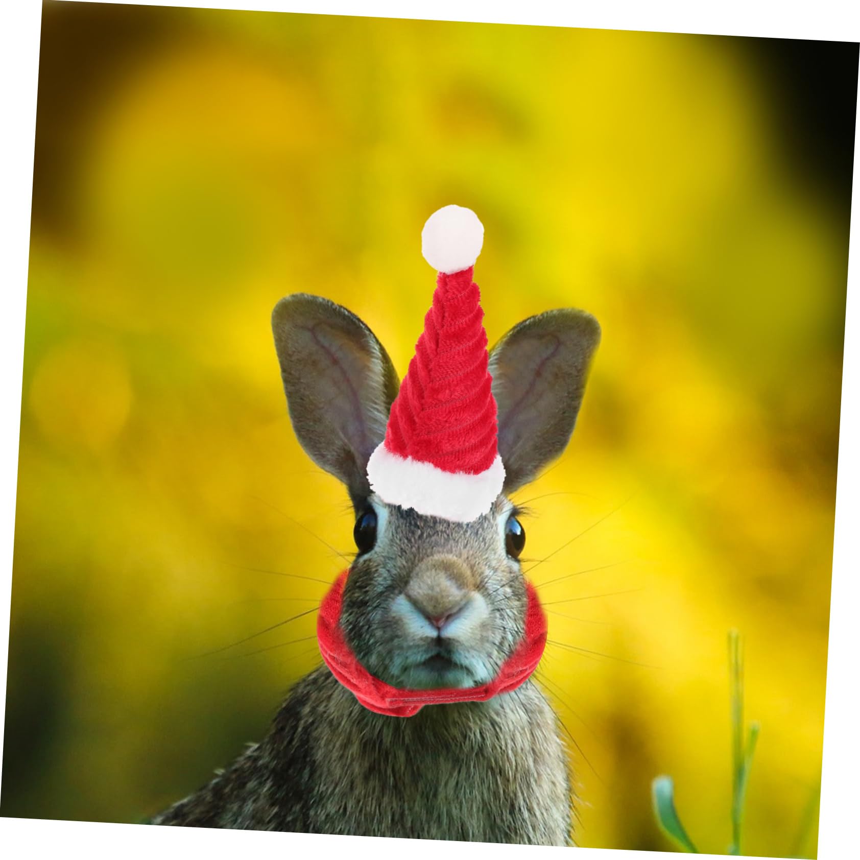 Set 12 Pezzi Cappellini E Sciarpe Di Natale Per Animali Piccoli - Per Galline, Criceti, Pappagalli, Decorazioni Festive